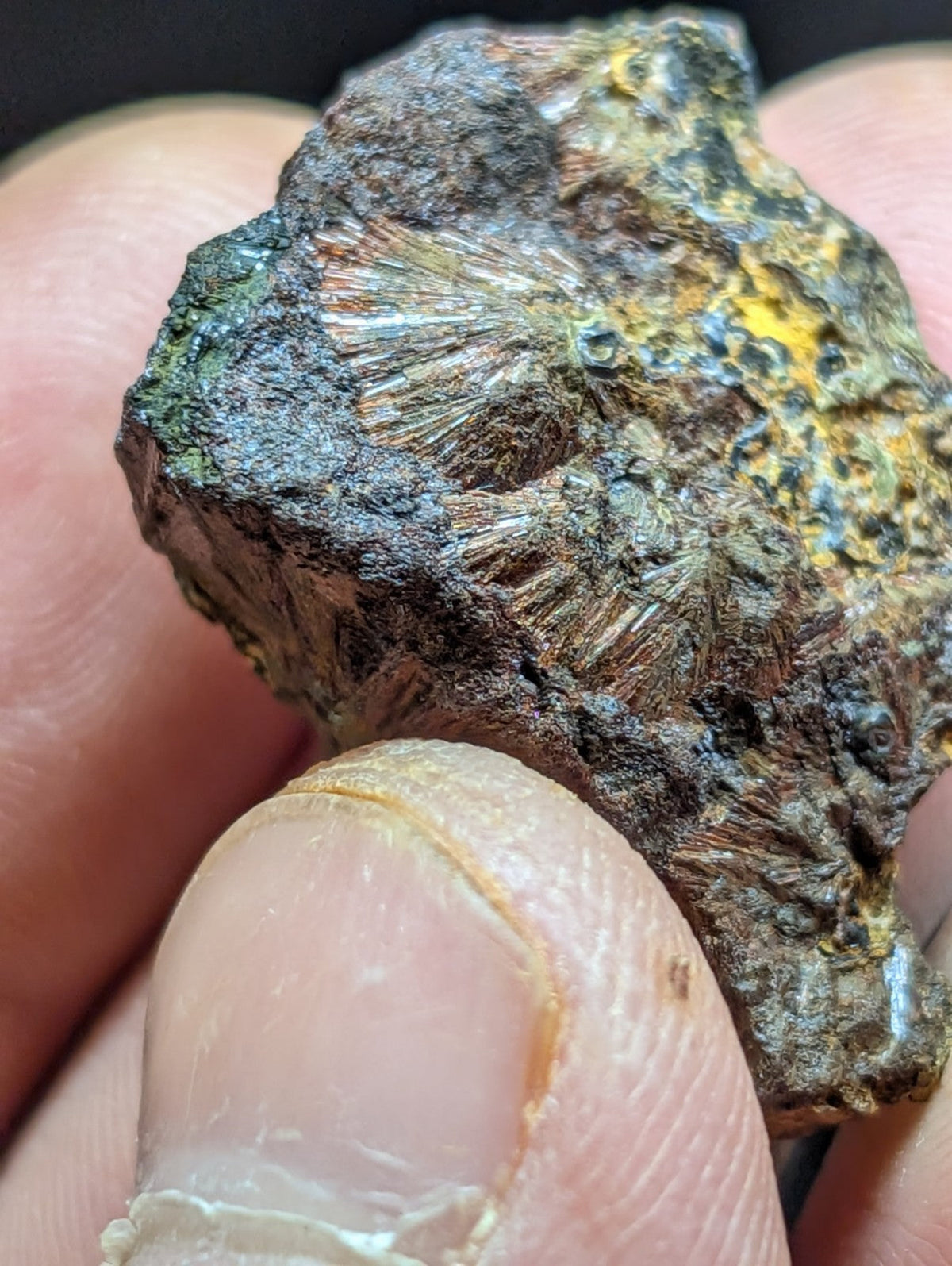 A rugged, irregularly shaped fossilized coral specimen with a textured surface displaying patches of dark brown, greenish-blue, and yellow hues.