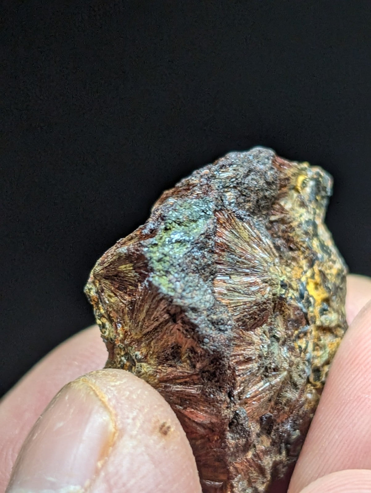 A rugged, reddish-brown fossilized coral specimen with patches of green and yellow patina.