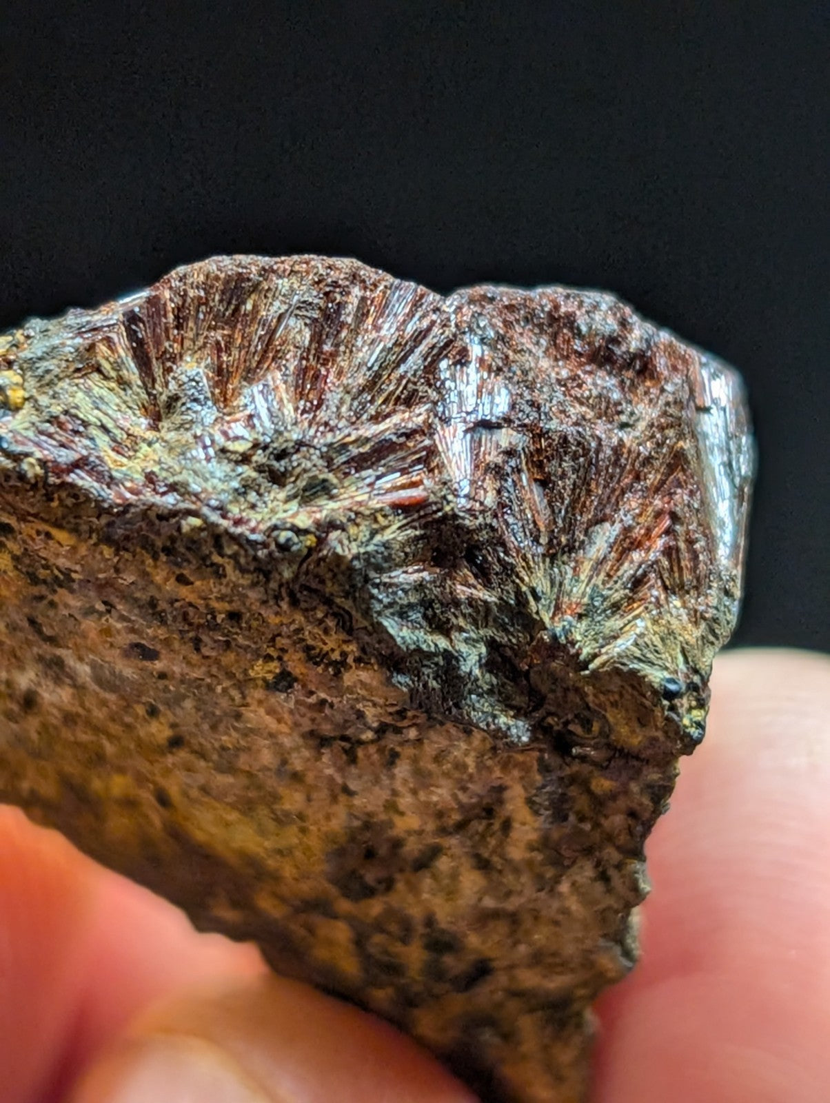 A rugged, earthy-toned mineral specimen with a textured surface featuring radiating crystalline patterns in shades of brown and metallic sheen.