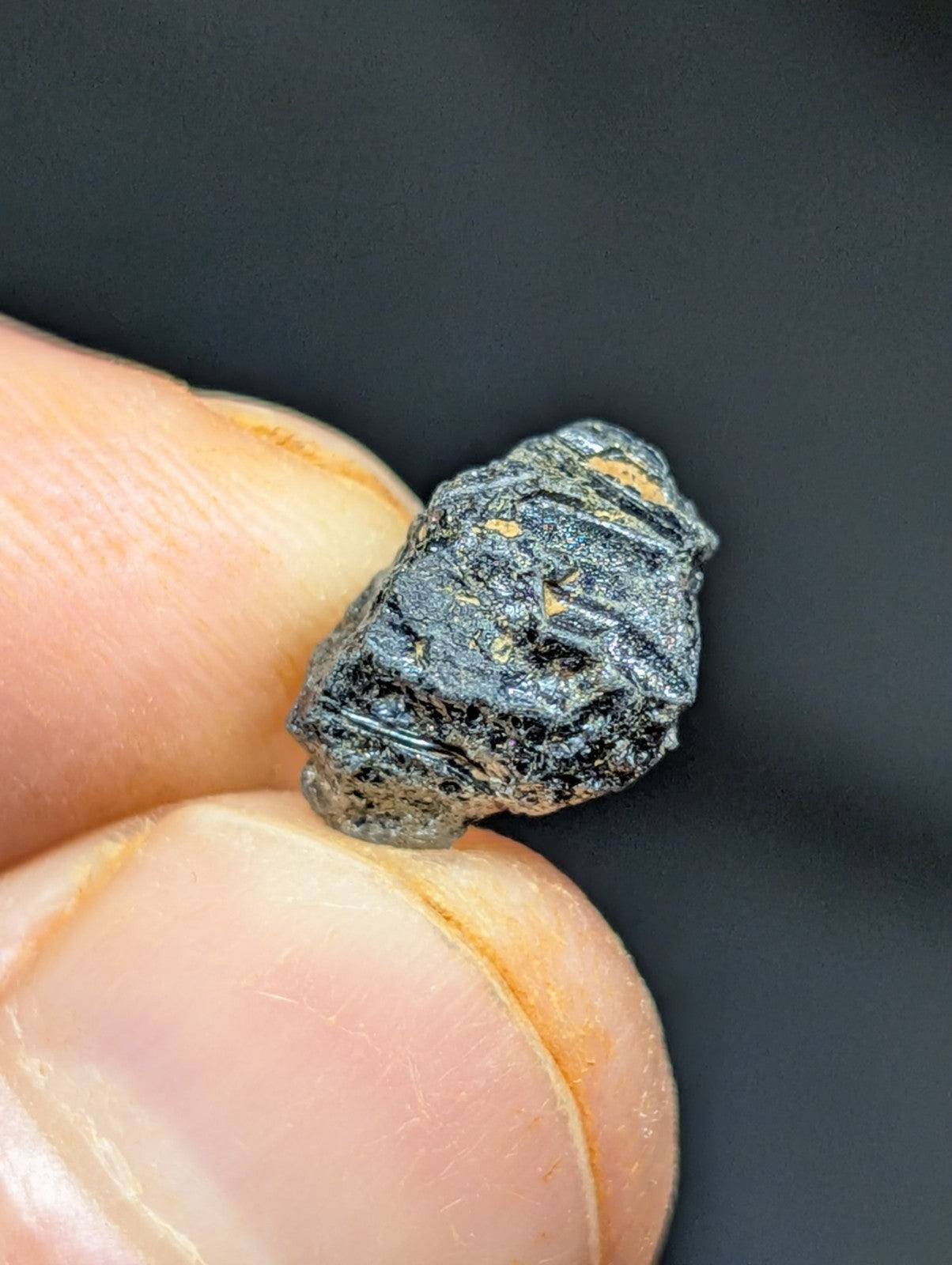 A dark, irregularly shaped meteorite fragment with a rough, textured surface and subtle golden flecks.