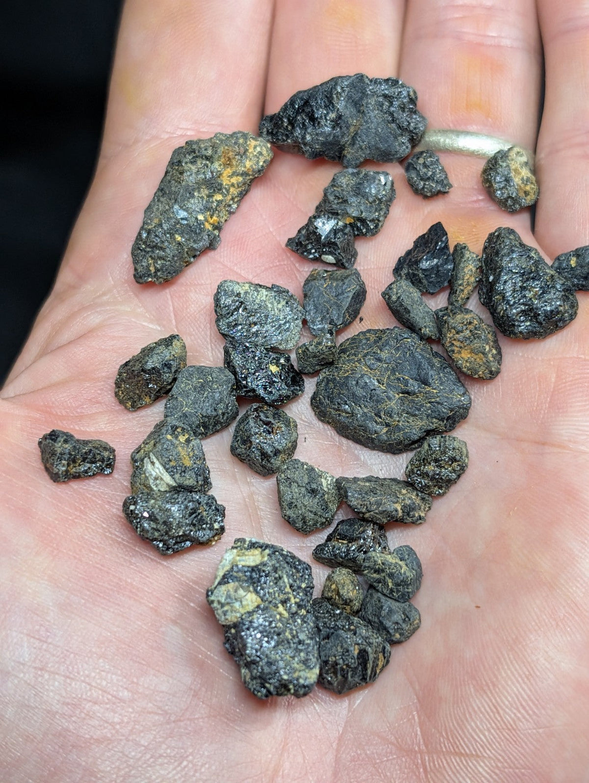 A hand holds a collection of dark, rough-textured mineral specimens with patches of yellow and greenish hues.