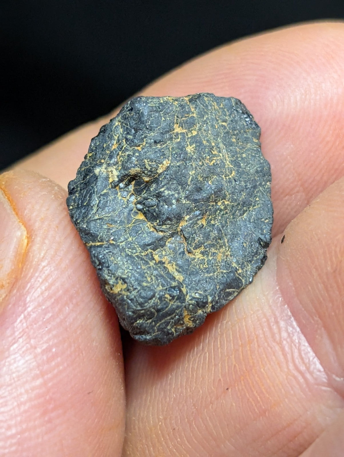 A dark, irregularly shaped meteorite with a rough texture and subtle golden-yellow veining.