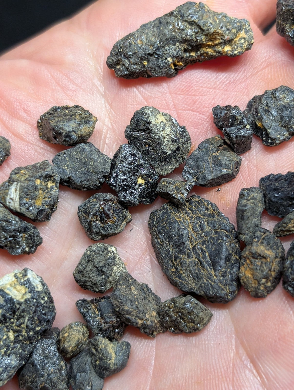 A hand holds a collection of rough, dark gray to black mineral specimens with patches of yellowish and white veining.