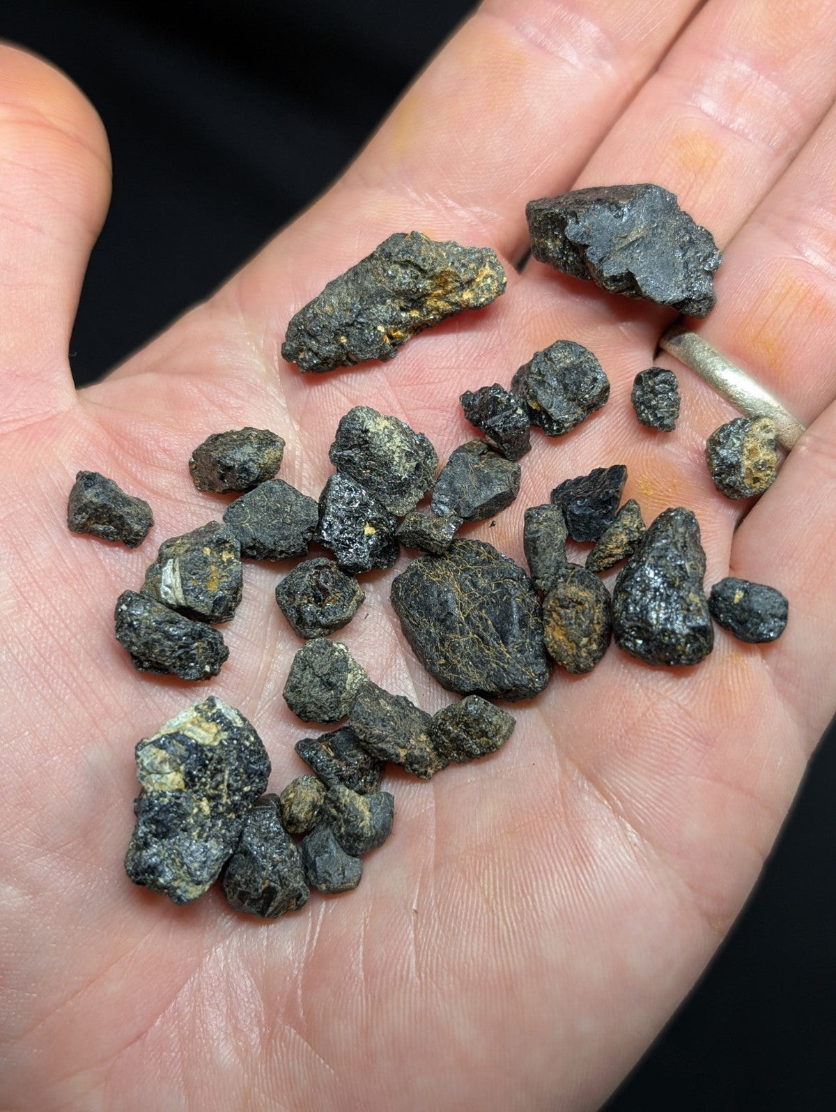 A hand holds a collection of dark, rough-textured mineral fragments with some displaying patches of yellowish-green.