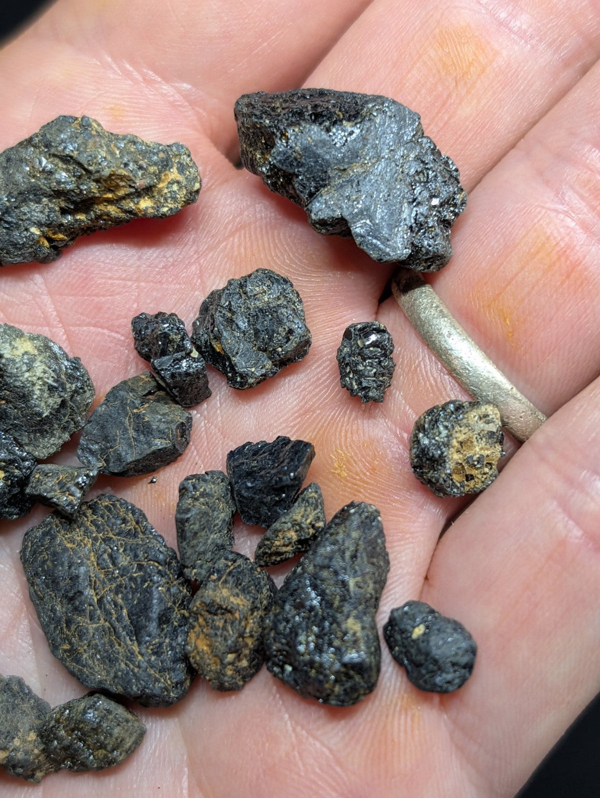 A hand holds a collection of dark, rough-textured rocks with patches of yellowish mineral streaks.