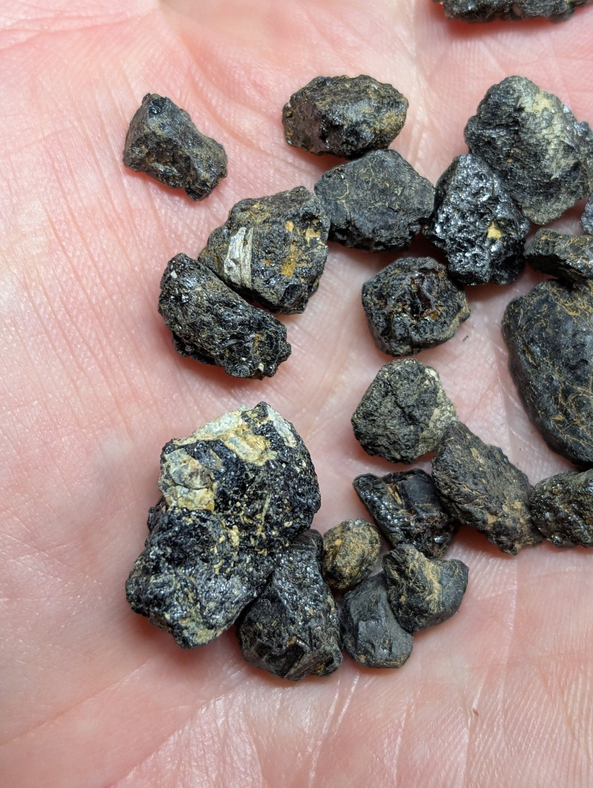 Dark, rough-textured mineral fragments with patches of yellowish-green oxidation resting in an open palm.
