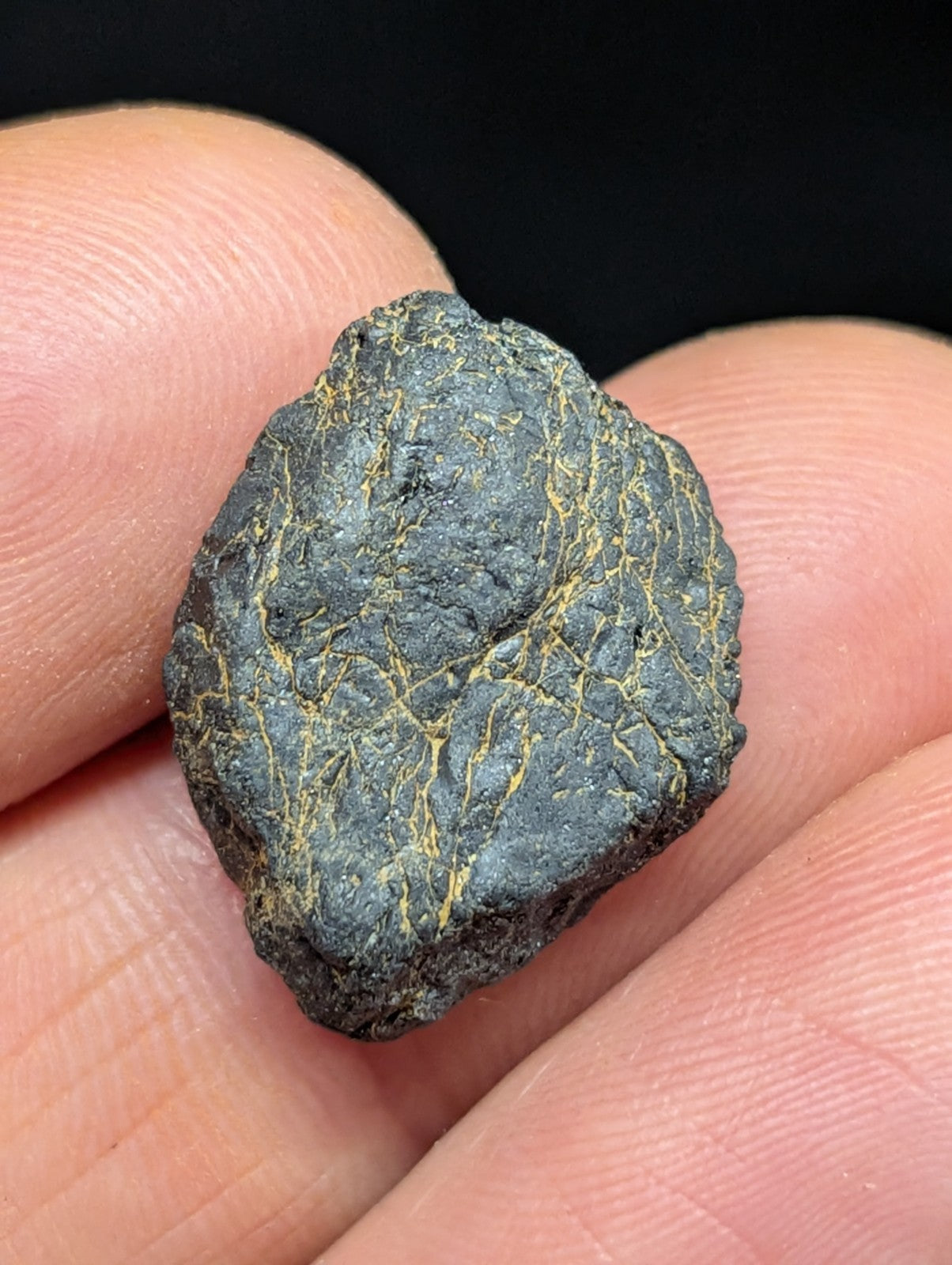 A dark, irregularly shaped meteorite with a rough, textured surface featuring intricate golden-yellow veining.