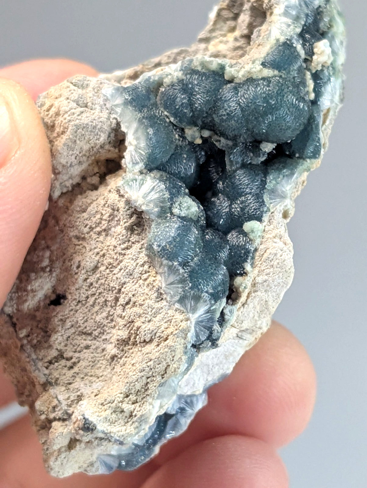 A hand holds a geode with dark blue, bumpy crystal formations emerging from a rough, beige rock matrix.