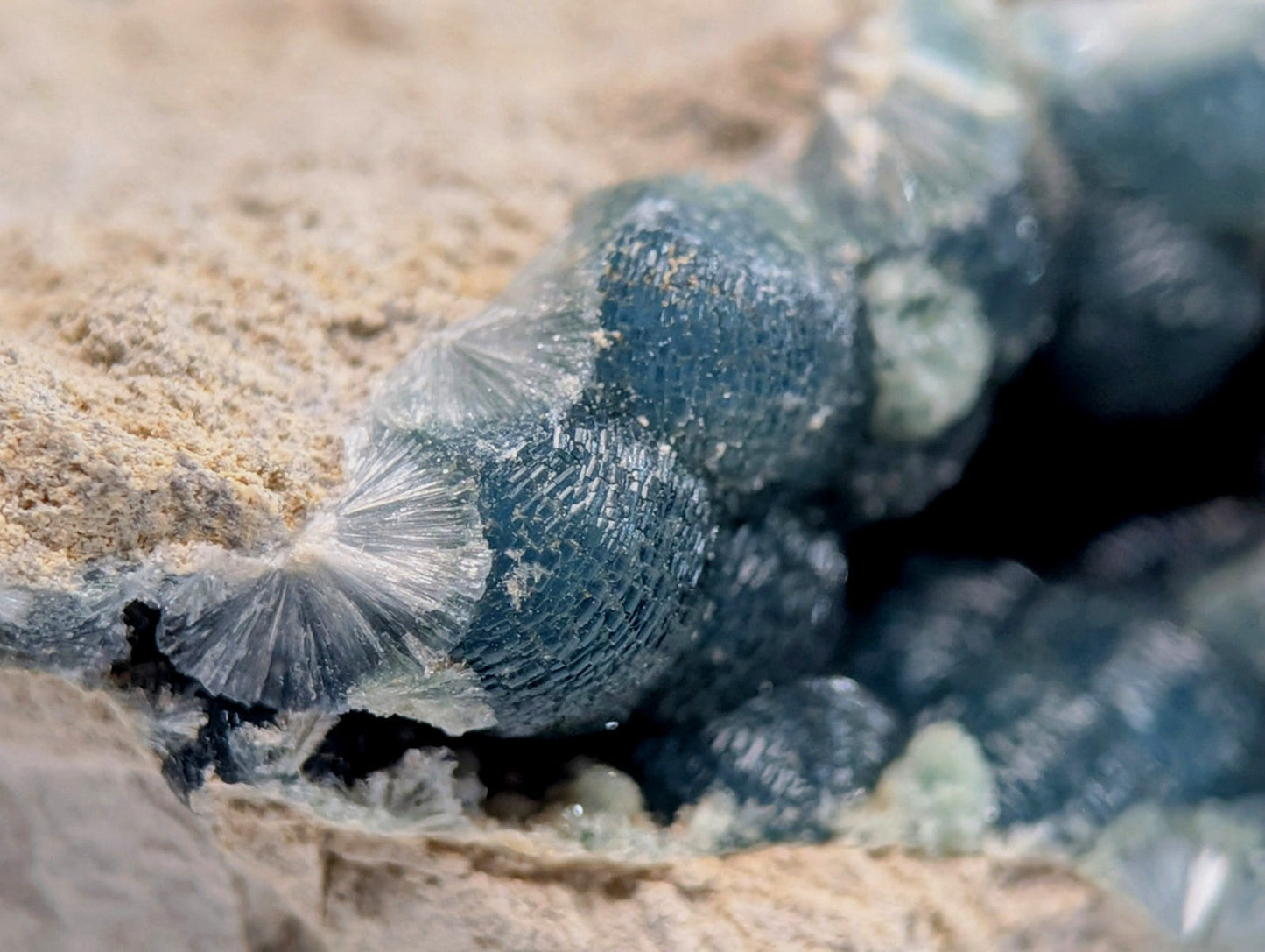 Deep blue, translucent crystal formations with intricate radial patterns grow from a sandy rock surface.