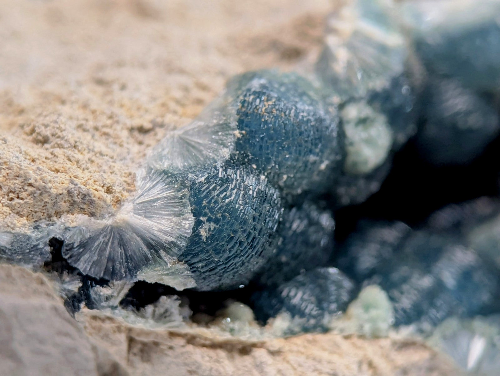 Deep blue, translucent crystal formations with intricate radial patterns grow from a sandy rock surface.