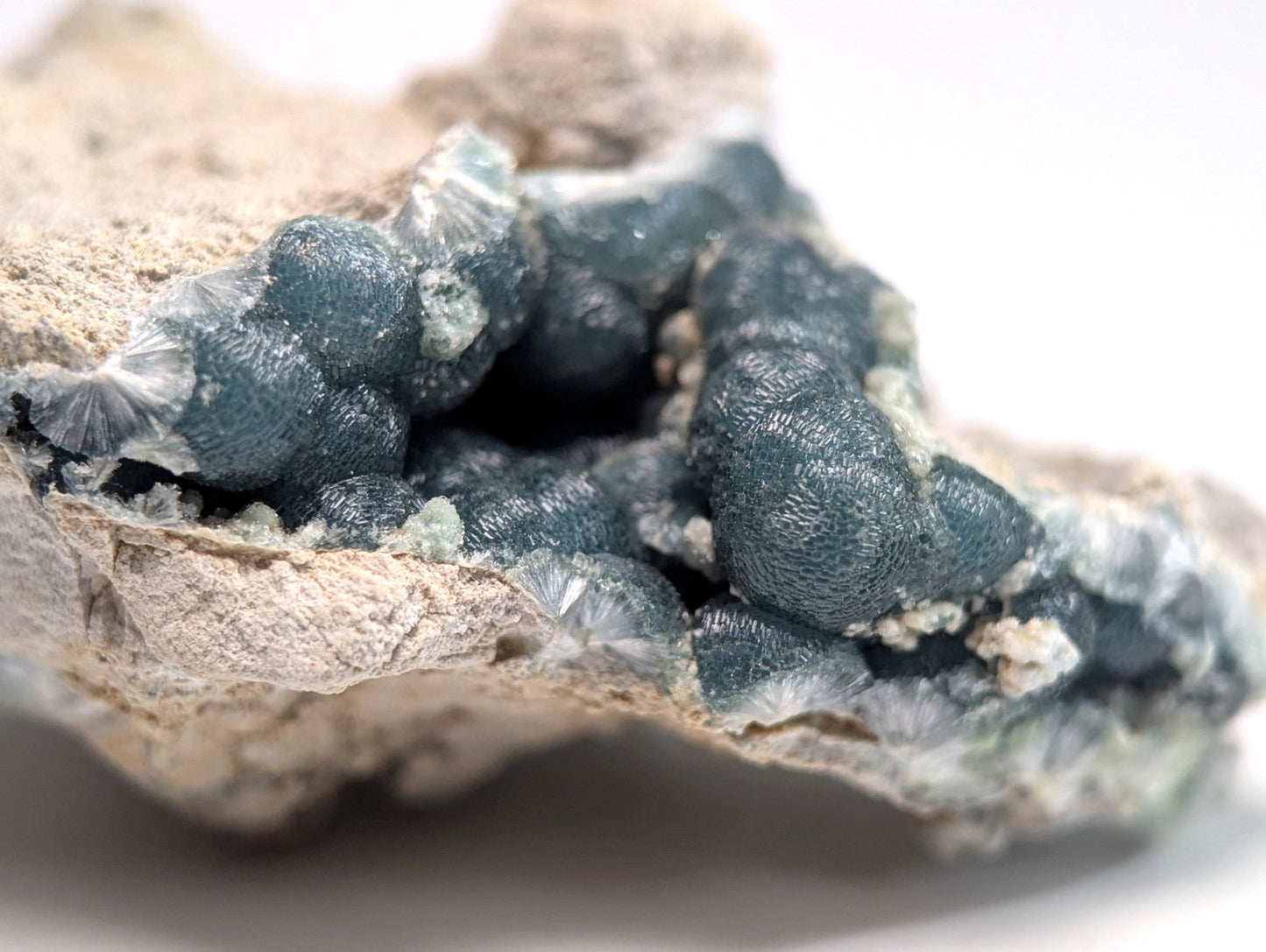 A striking blue-green mineral specimen with a textured, clustered growth emerging from a rough beige rock matrix.