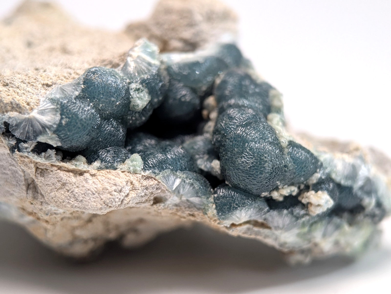 A striking blue-green mineral specimen with a textured, clustered growth emerging from a rough beige rock matrix.