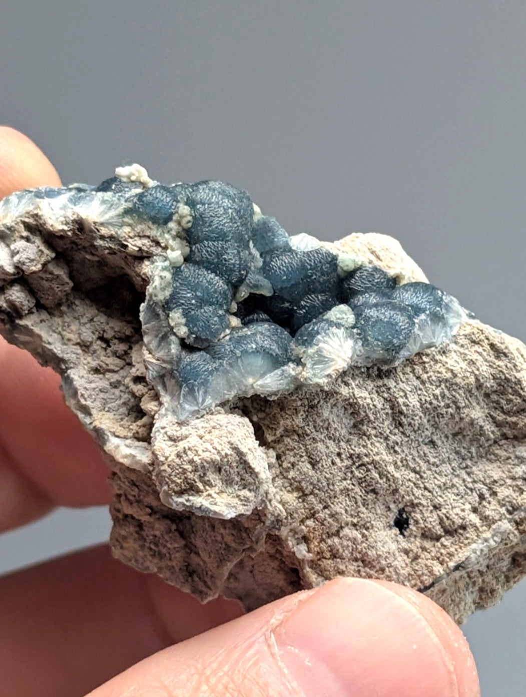 A cluster of translucent blue-green druzy crystals nestled within a rough, grayish rock matrix.