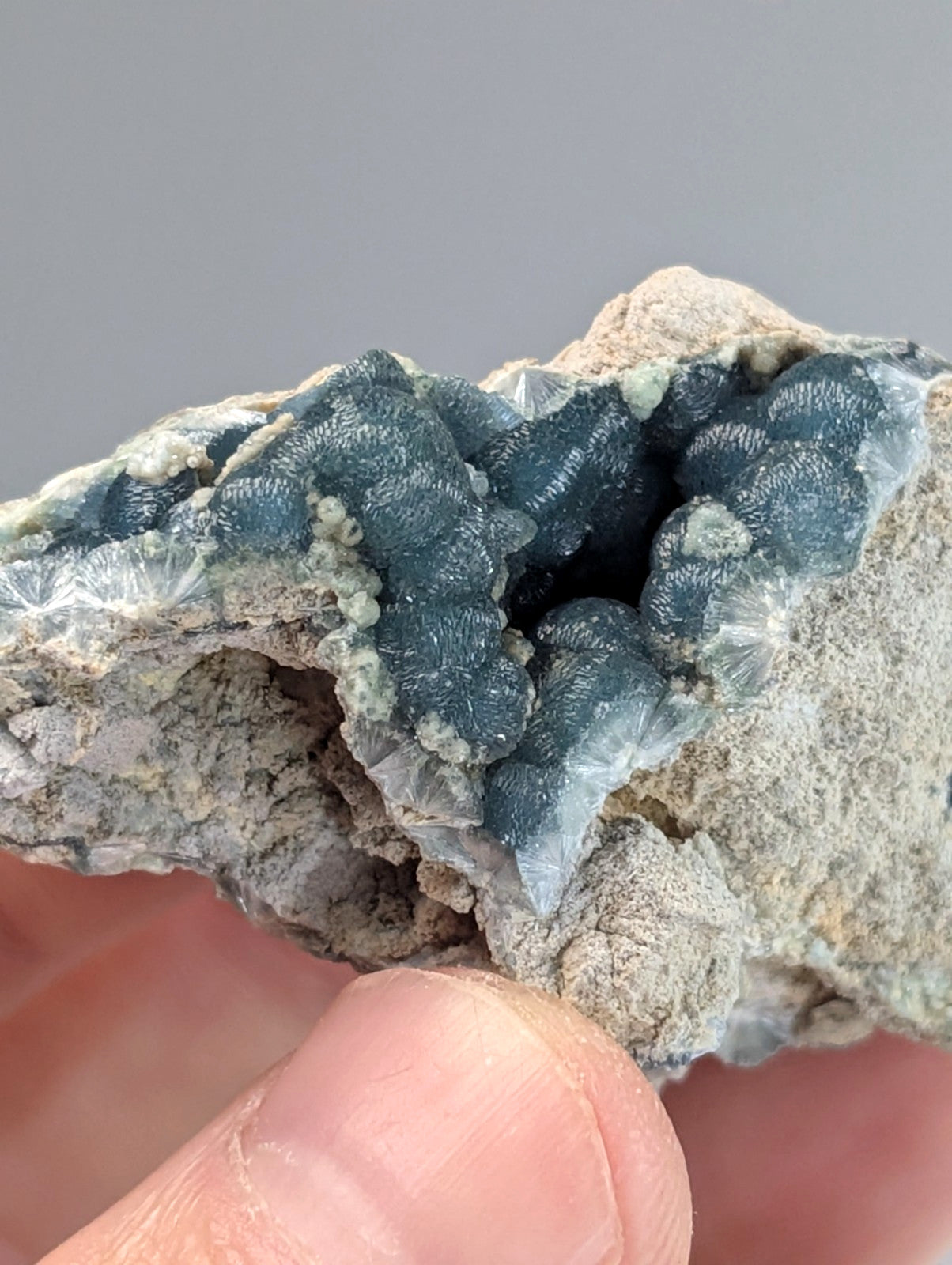 A striking blue-green mineral specimen with a textured, crystalline surface embedded in a light gray rock matrix.