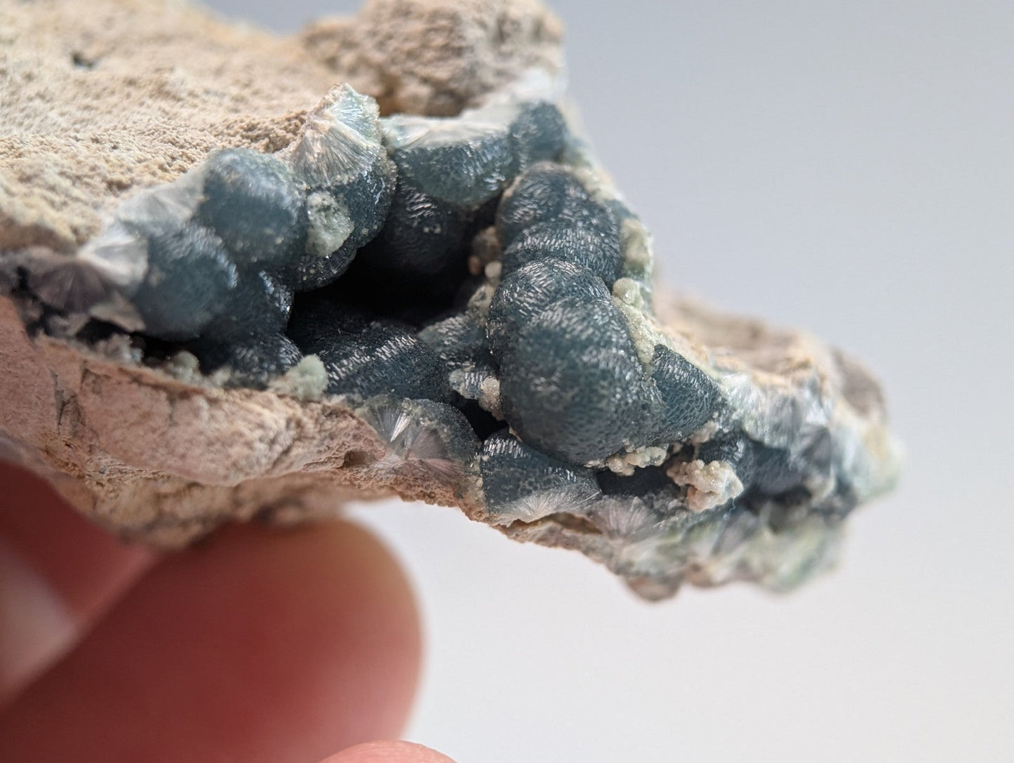 A cluster of dark blue, translucent druzy crystals growing from a light beige rock matrix.