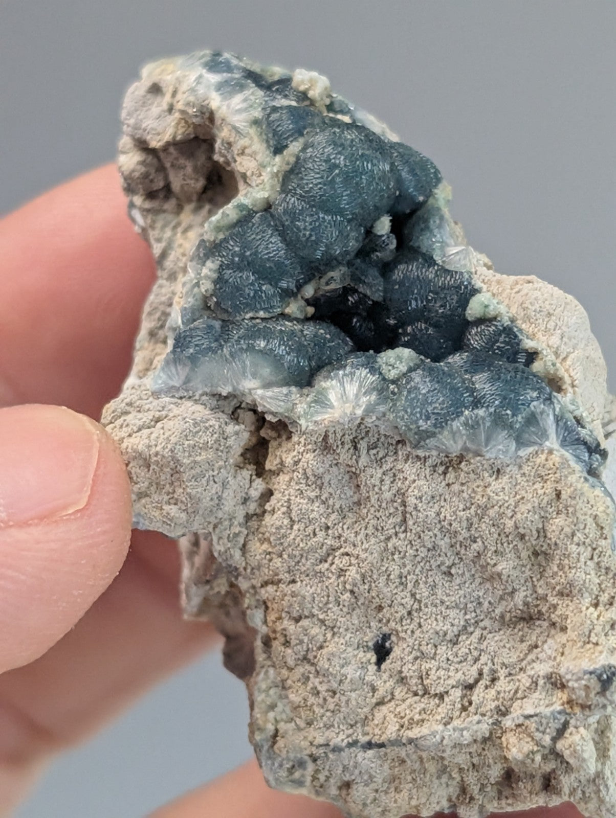 A hand holds a geological specimen featuring clusters of deep blue, textured crystals emerging from a rough, light gray rock matrix.