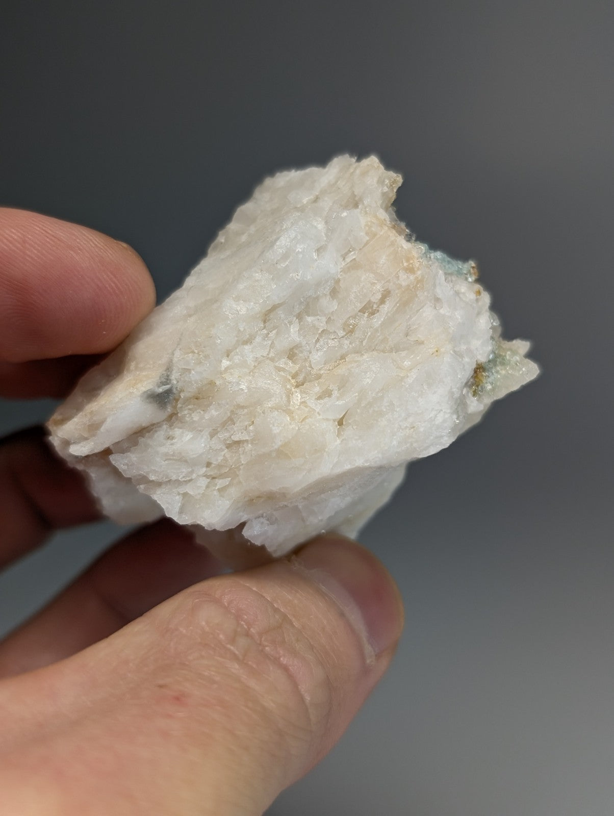 Blue green cookeite on quartz mineral with rough white crystalline textures and subtle golden flecks from saline county arkansas