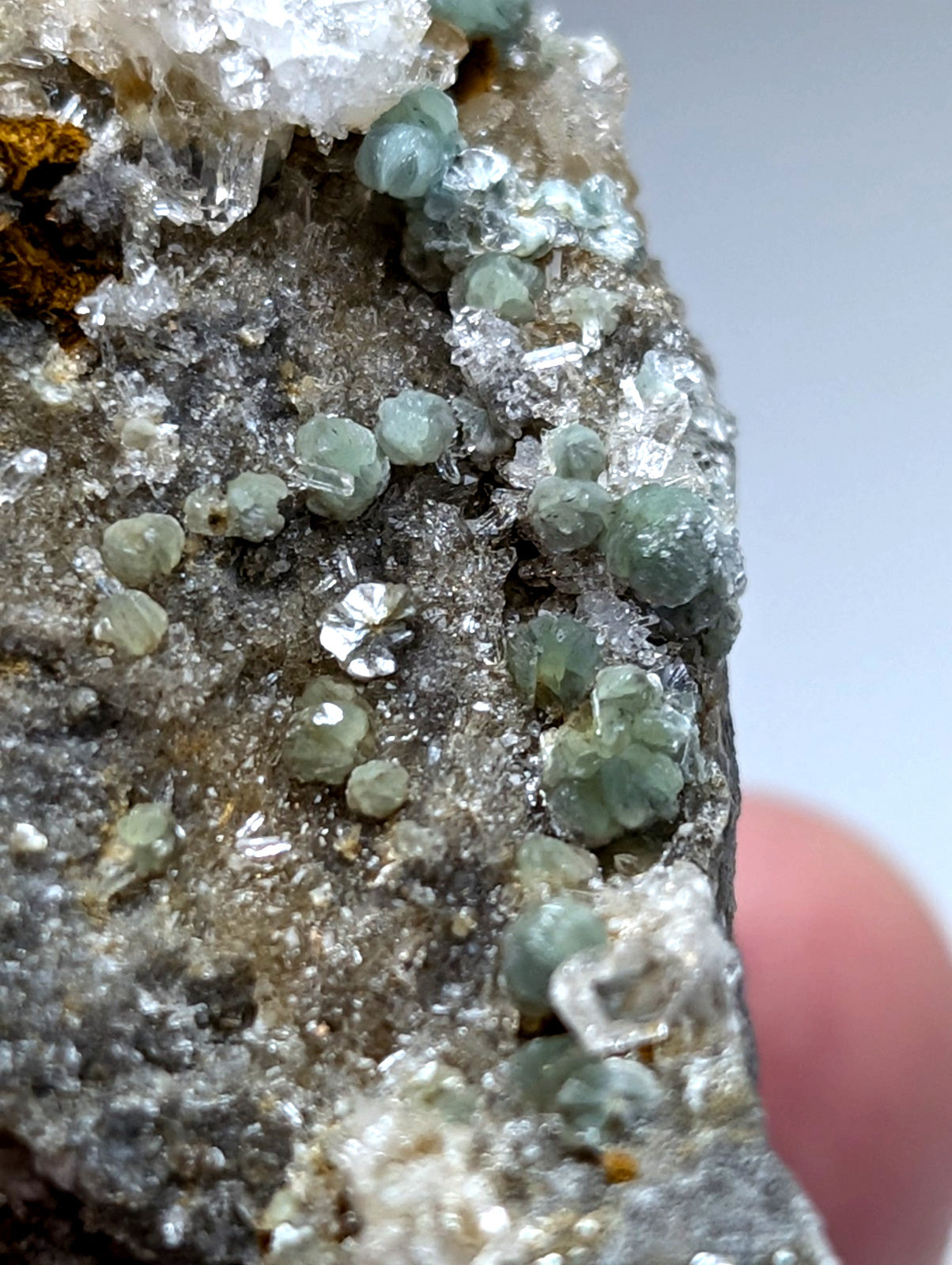 A cluster of translucent light green blue green cookeite gemstones with crystalline texture on dark gray quartz matrix