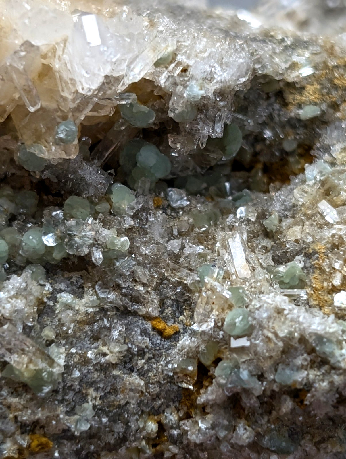 A cluster of blue green cookeite crystals on gray and white quartz matrix from Saline County Arkansas rare UV reactive mineral