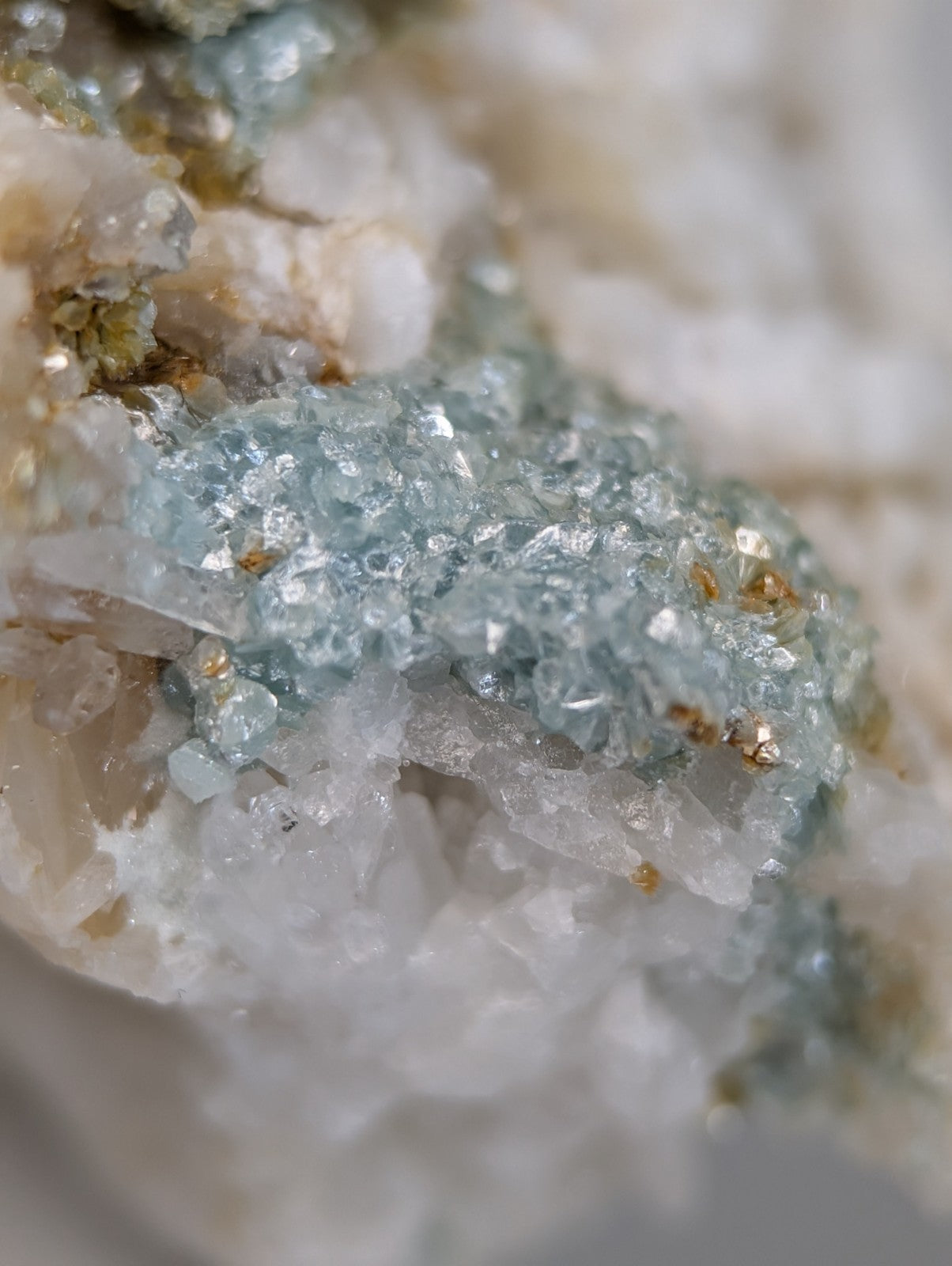A cluster of translucent light blue cookeite crystals on quartz with golden inclusions from saline county arkansas, uv reactive