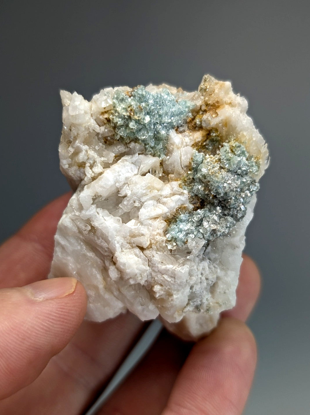 A hand holds a rare blue green cookeite on quartz with shimmering golden metallic crystals from Saline County Arkansas