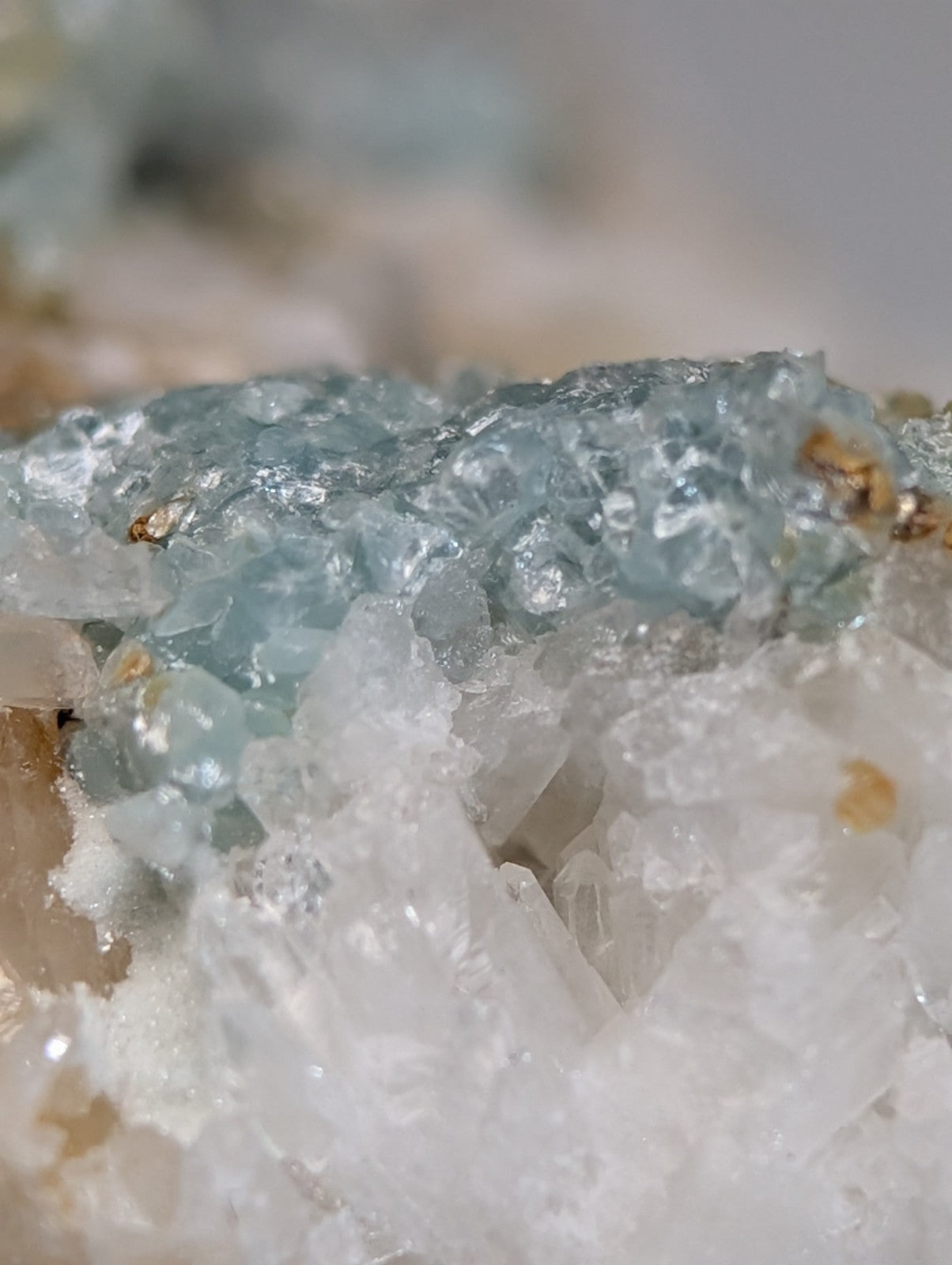 A cluster of translucent light blue blue green cookeite crystals on quartz from saline county arkansas rare uv reactive
