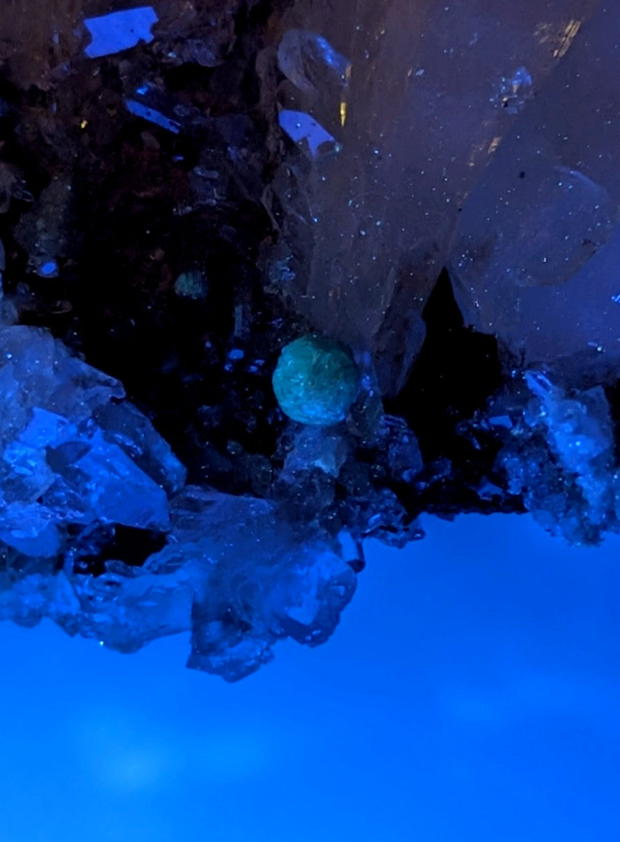 Blue green cookeite mineral glowing teal green nestled on blue quartz crystals from saline county arkansas rare uv reactive