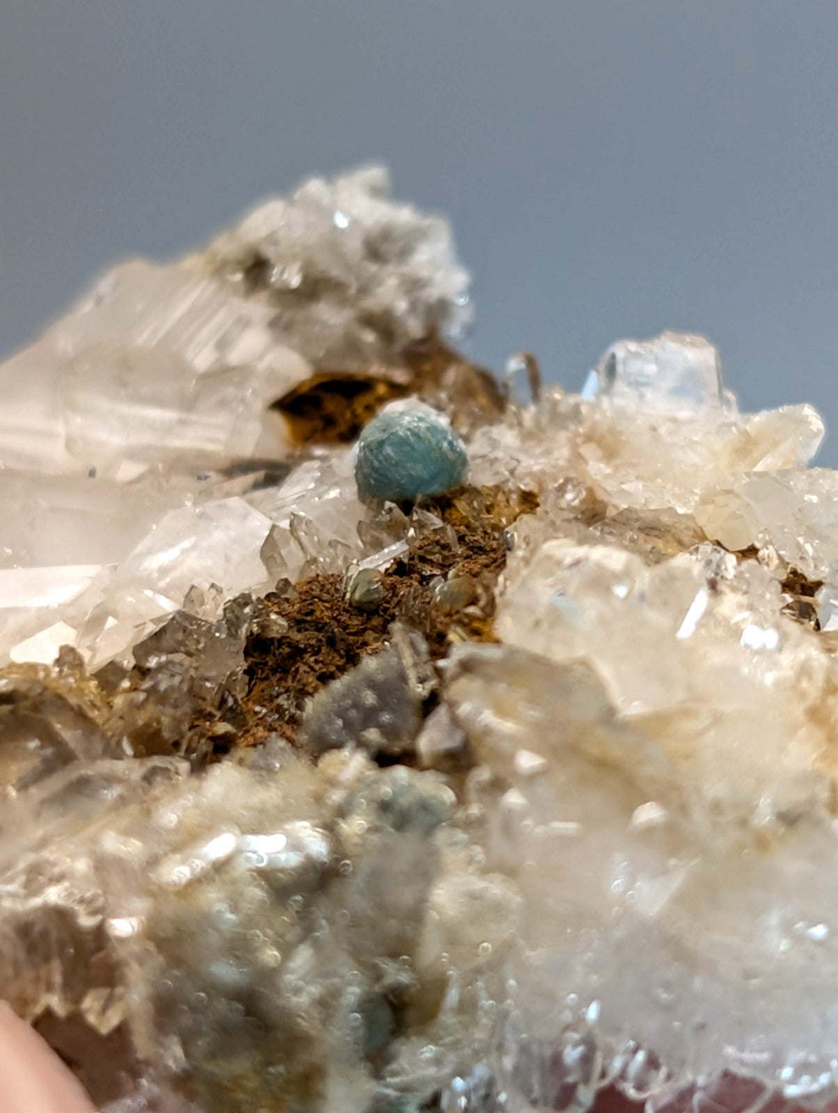 Blue green cookeite mineral specimen with turquoise color nestled on translucent quartz from saline county arkansas