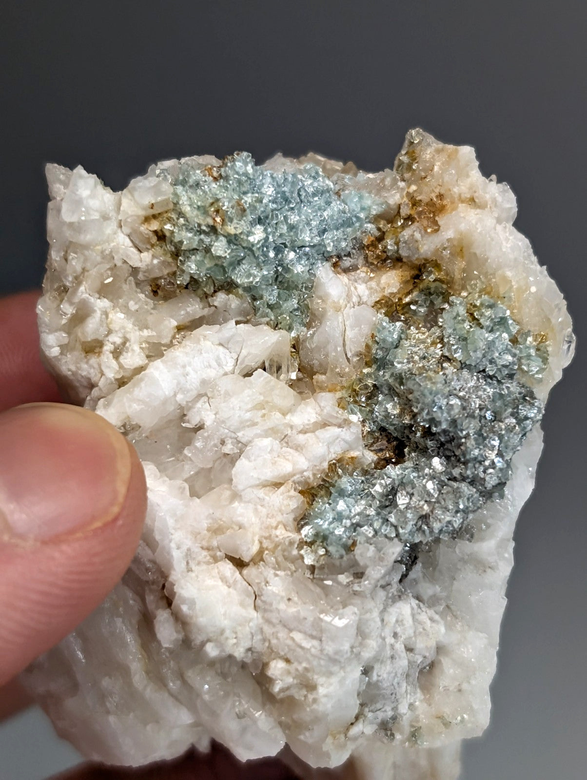 A hand holds blue green cookeite on translucent white quartz with shimmering copper minerals from Saline County Arkansas