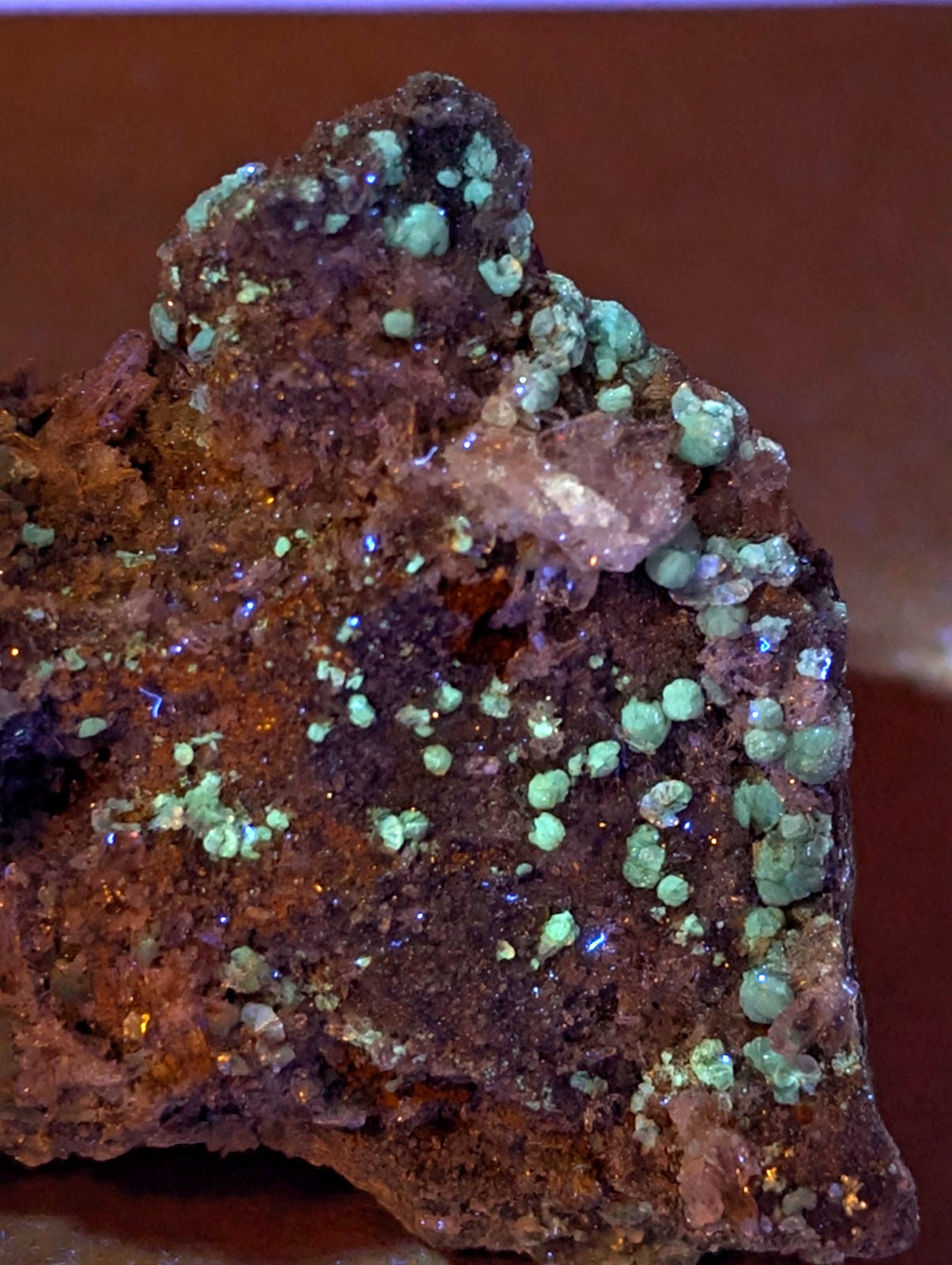 Blue green cookeite on quartz mineral with vibrant turquoise green crystals on dark brown and reddish base from arkansas