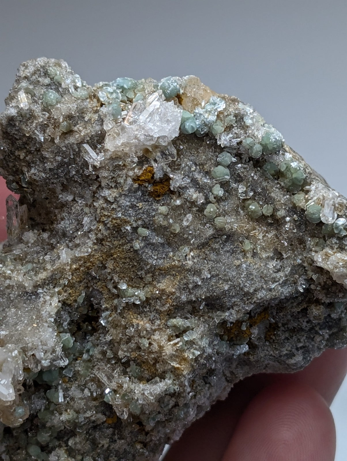 A rugged gray rock with translucent white quartz and pale greenish-blue blue green cookeite from Saline County Arkansas