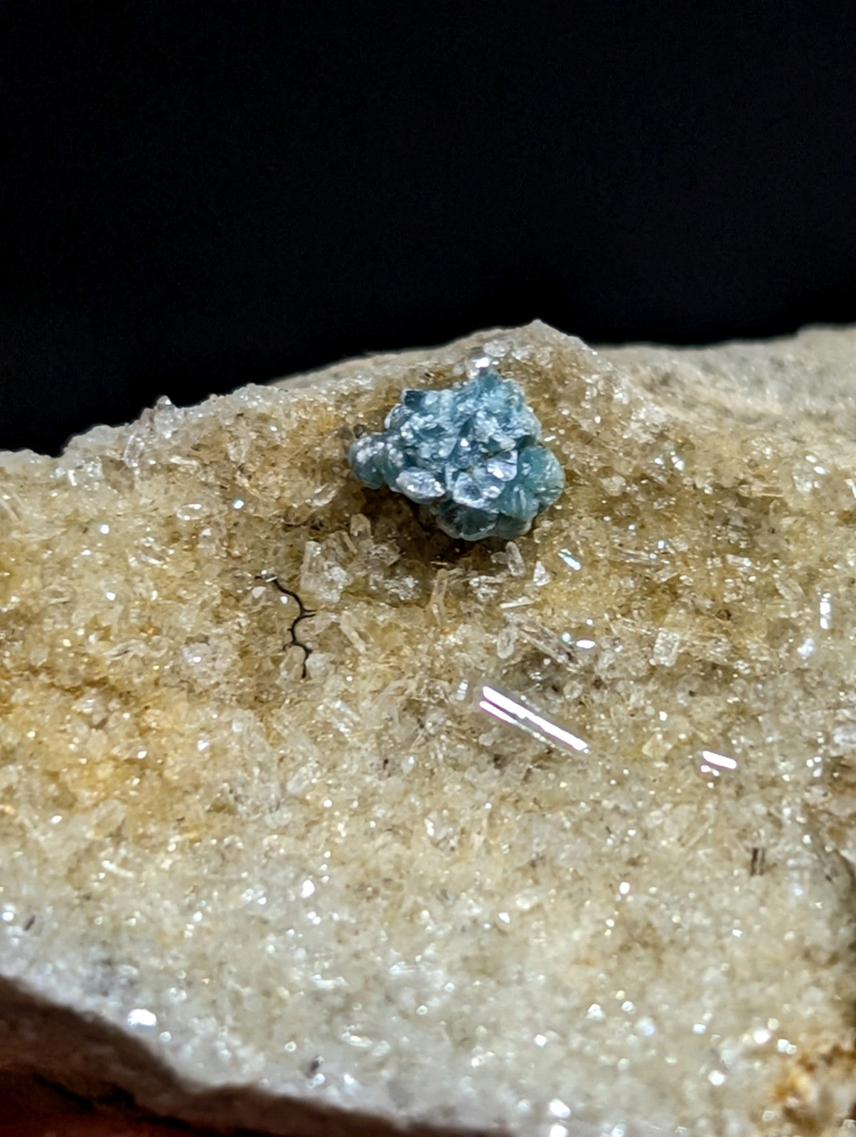 A cluster of vibrant turquoise crystals nestled atop a textured, translucent quartz rock.