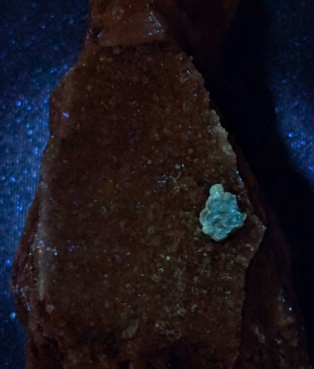 A brown, crystalline mineral specimen with a small turquoise-colored crystal embedded in its surface.
