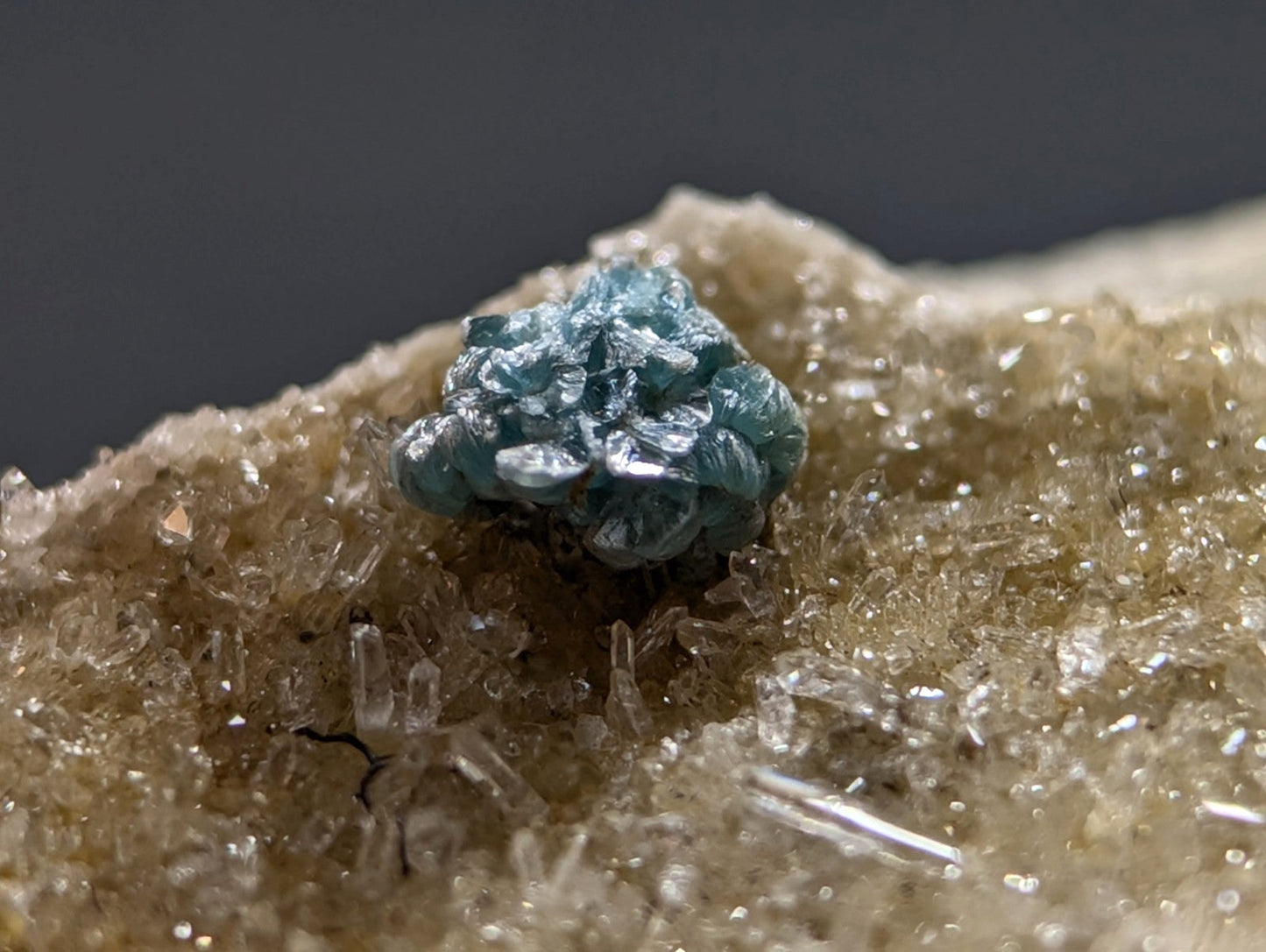 A cluster of vibrant blue gemstones nestled within a bed of translucent, crystalline rock.