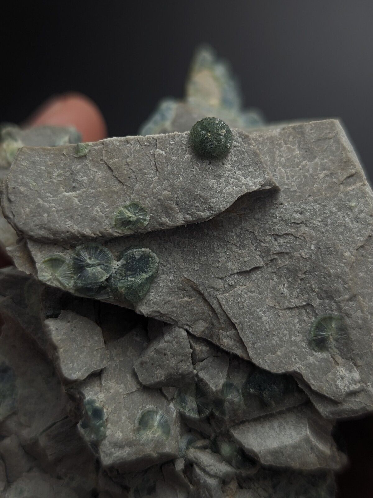 Blue-Green Wavellite - Delinde / Schmitt mine - Garland County Arkansas - Collectibles:Rocks Fossils &