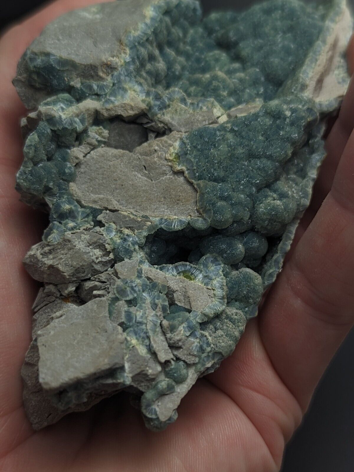 Blue-Green Wavellite - Delinde / Schmitt mine - Garland County Arkansas - Collectibles:Rocks Fossils &