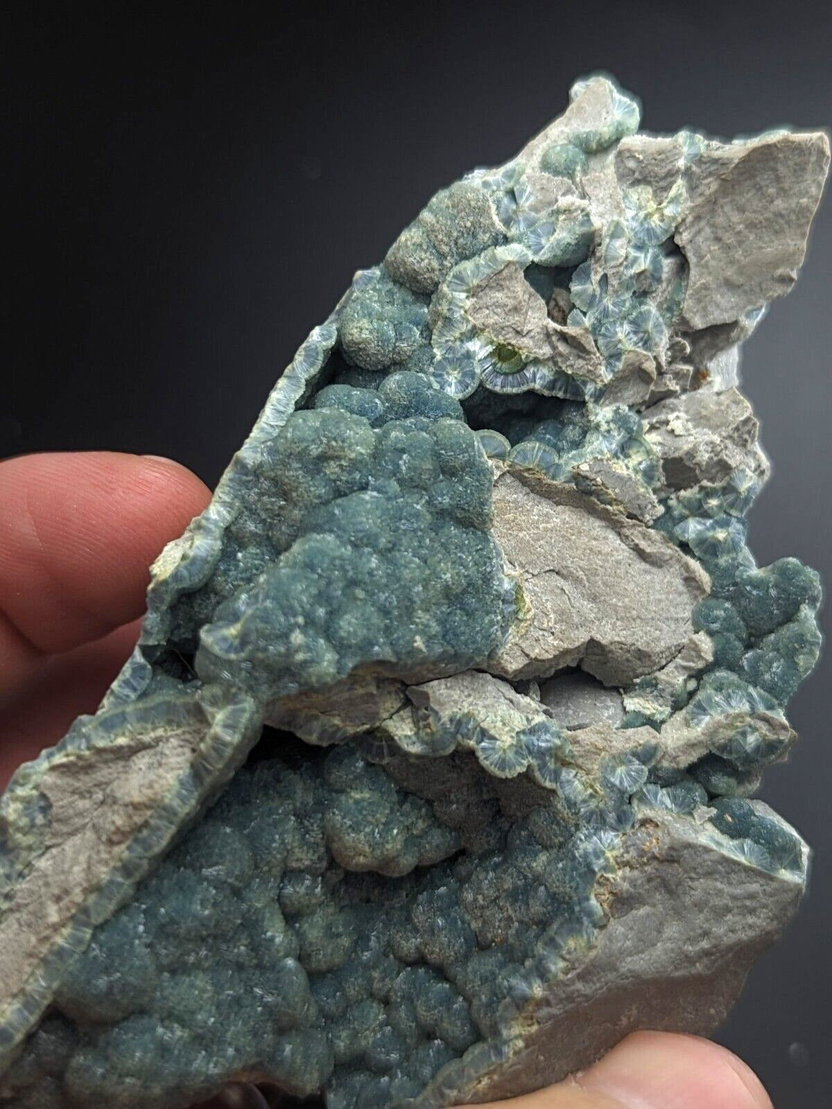 Blue-Green Wavellite - Delinde / Schmitt mine - Garland County Arkansas - Collectibles:Rocks Fossils &