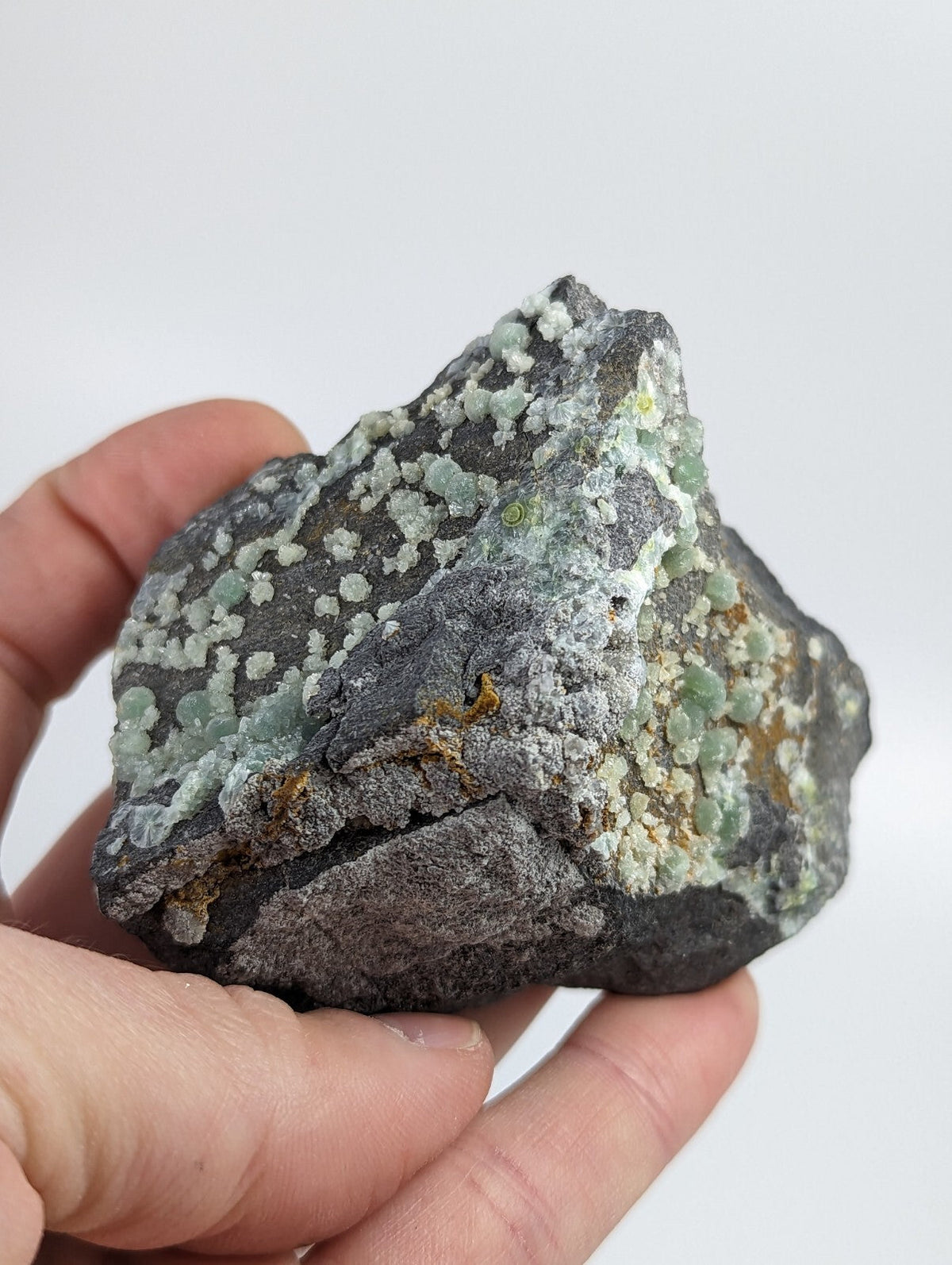 A hand holds a dark gray rock specimen featuring clusters of light green, crystalline formations with subtle yellowish patches.