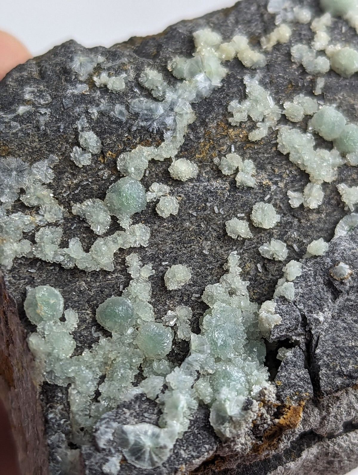A dark gray rock specimen featuring clusters of translucent, pale green crystalline formations.