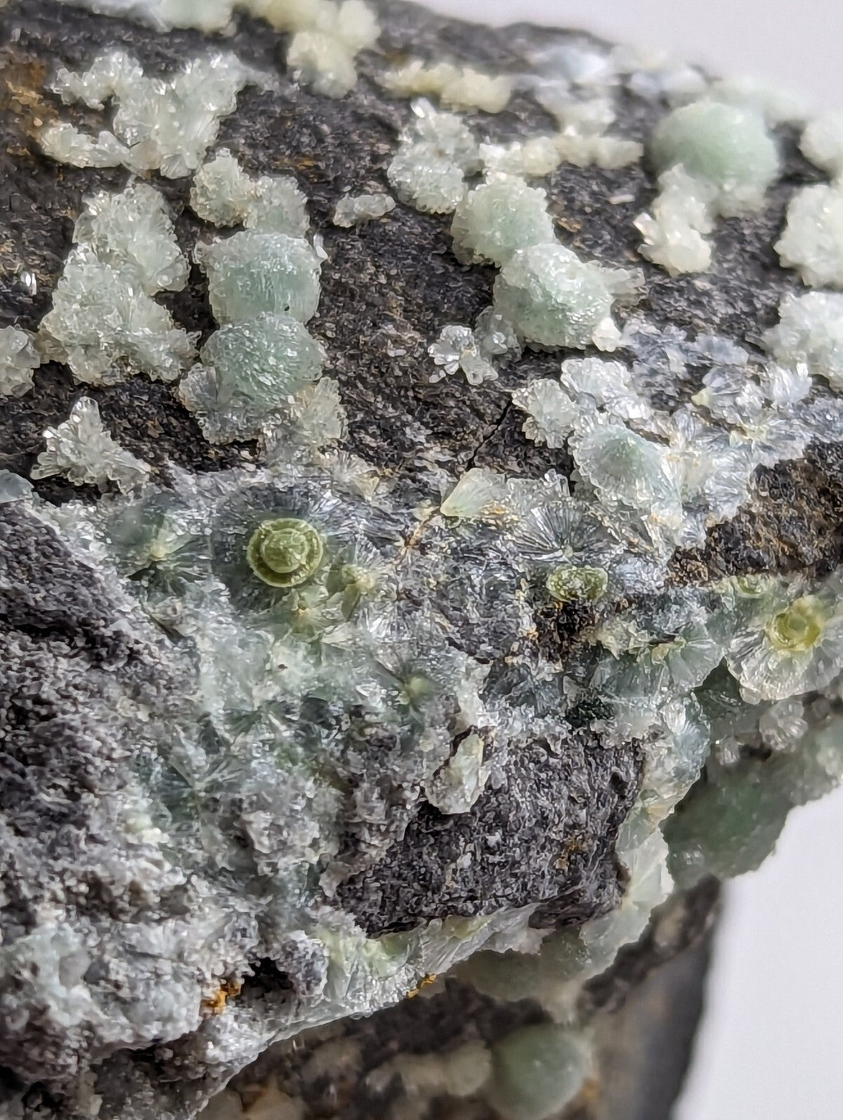 A dark gray rock specimen featuring translucent, light green and white crystalline formations with some exhibiting spiral patterns.