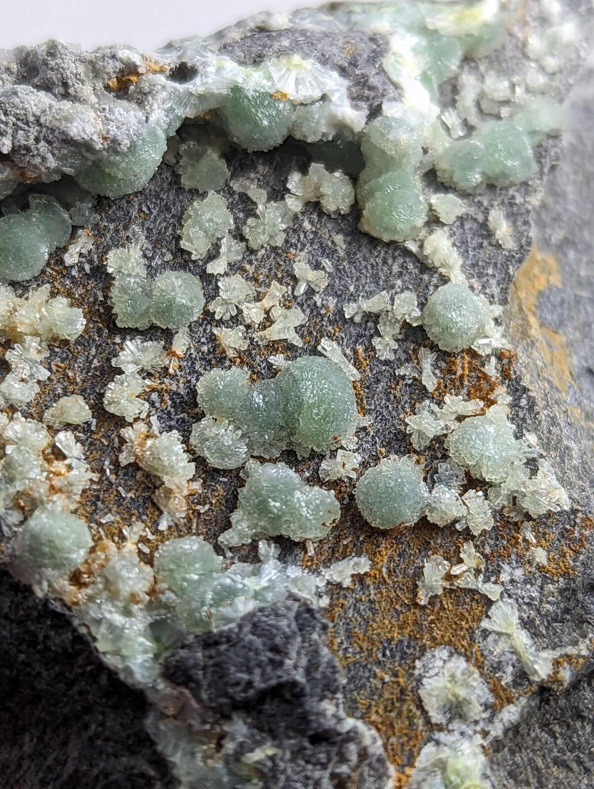A cluster of translucent greenish-blue, crystalline formations growing on a dark gray rock surface.