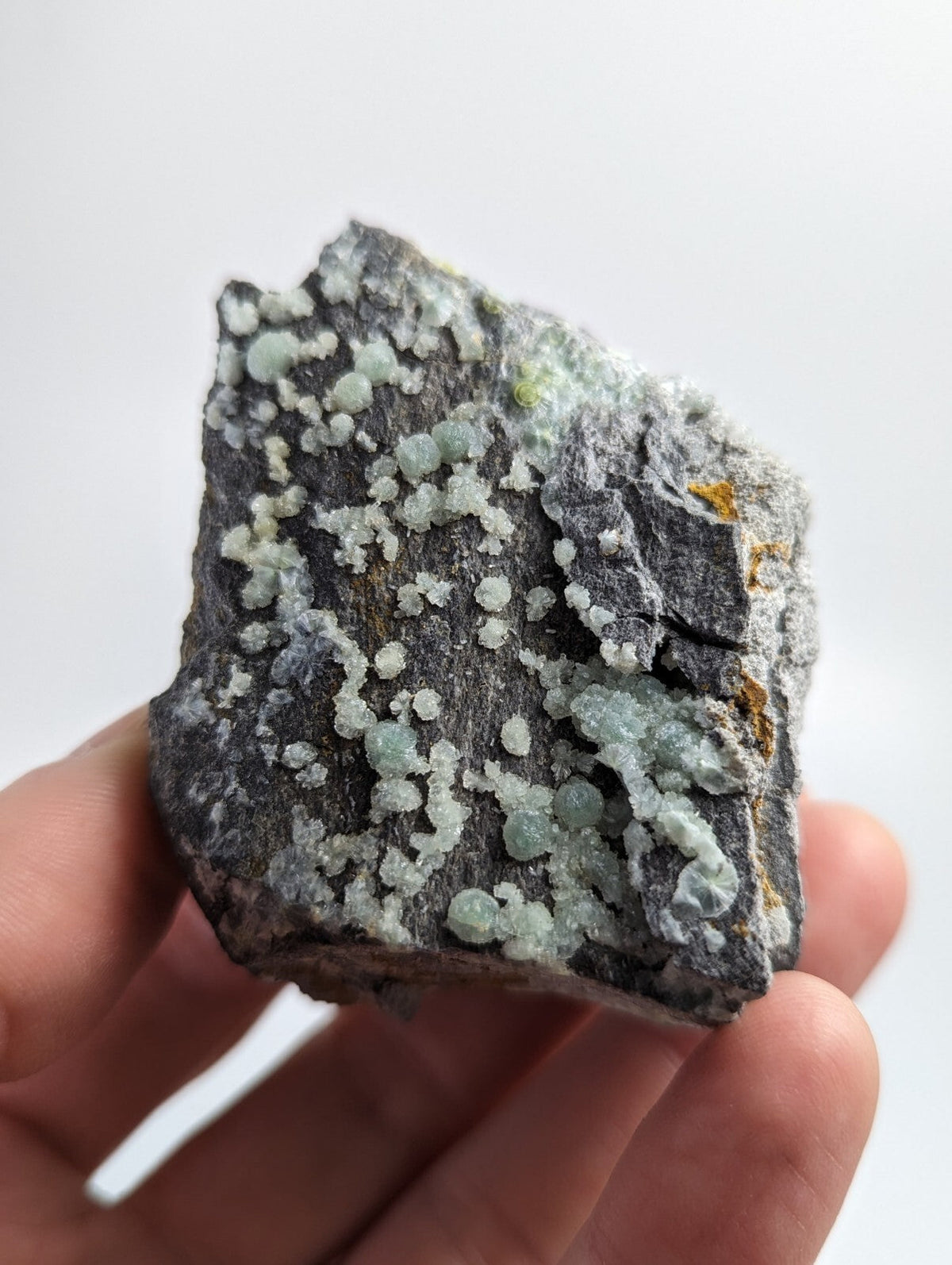 A hand holds a dark gray rock specimen featuring clusters of translucent, light green crystalline formations with subtle white and yellow mineral inclusions.