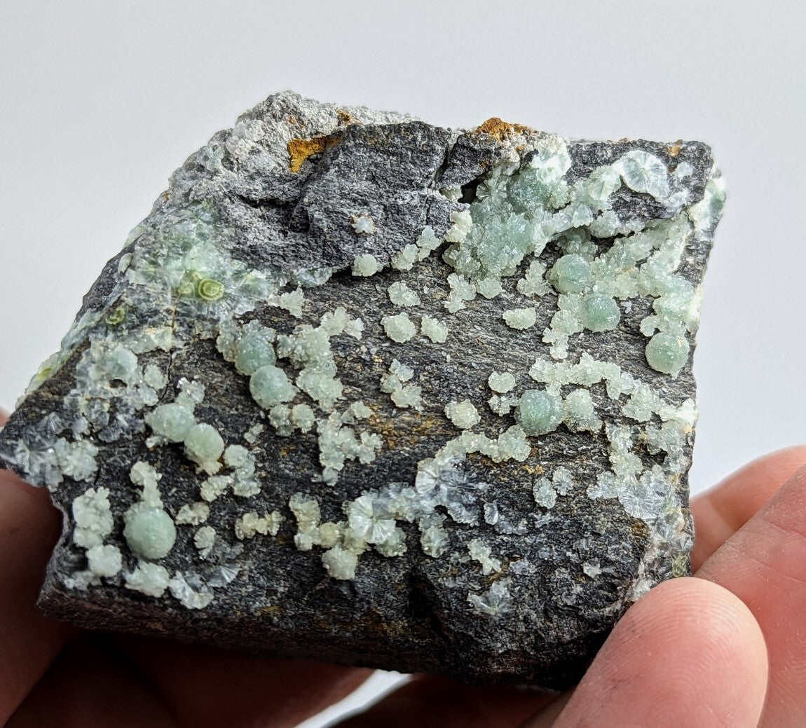 A dark gray rock specimen featuring clusters of translucent, light green and white crystalline formations.