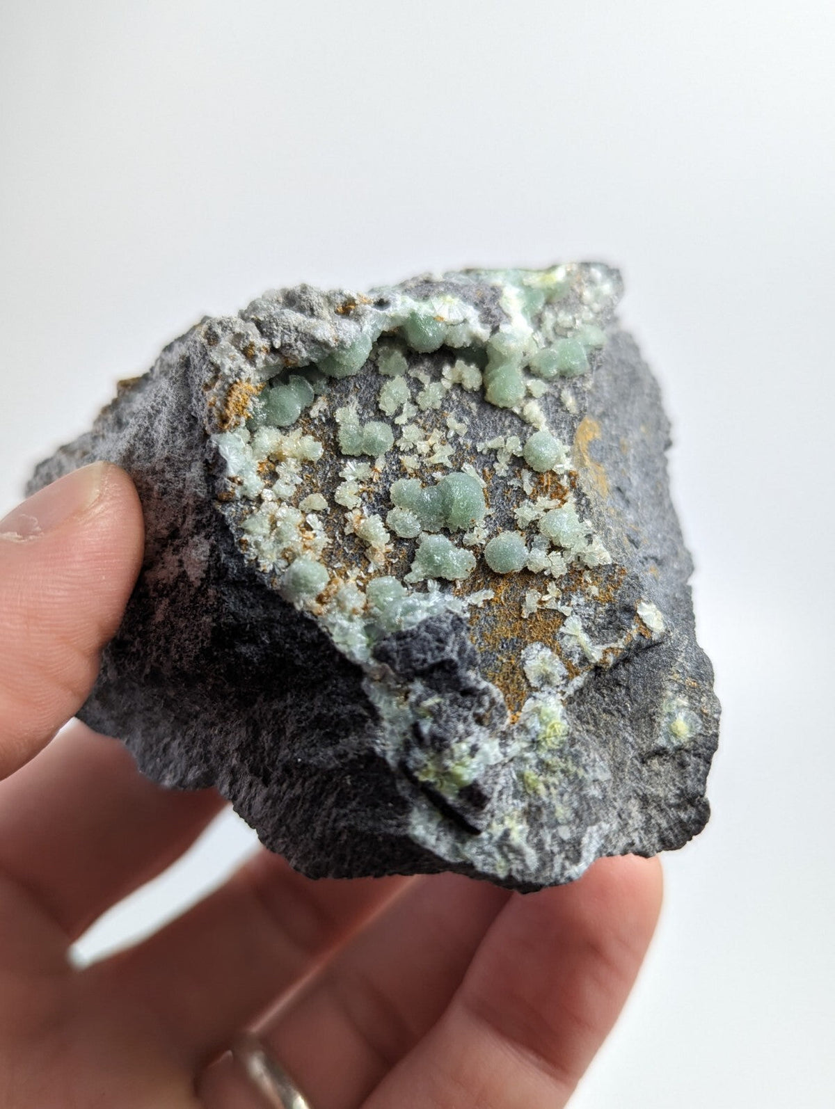 A hand holds a dark gray rock specimen featuring clusters of light green, bead-like crystals and patches of white mineral deposits.