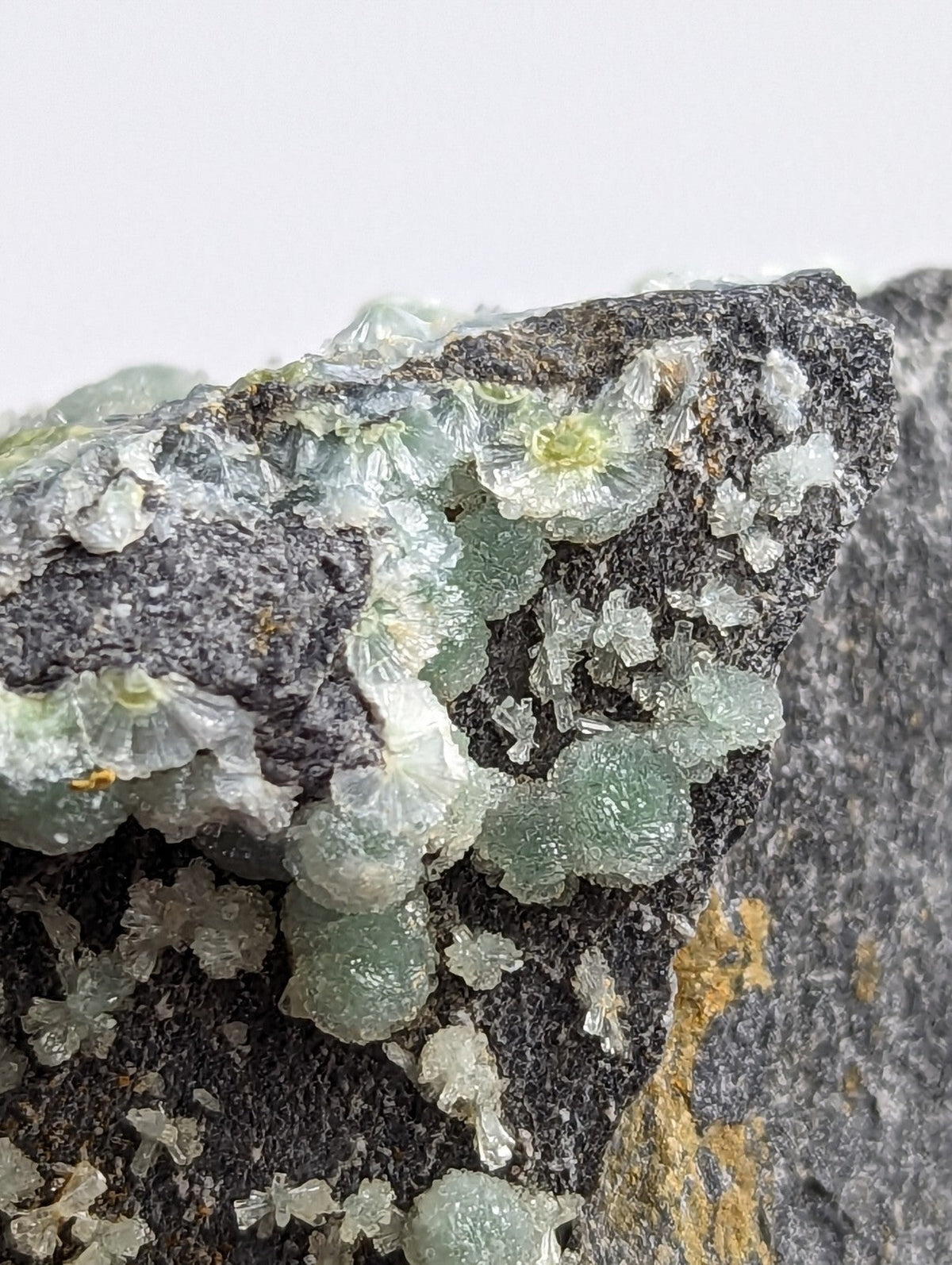 A cluster of translucent green and white crystalline formations growing from a dark gray rock surface.