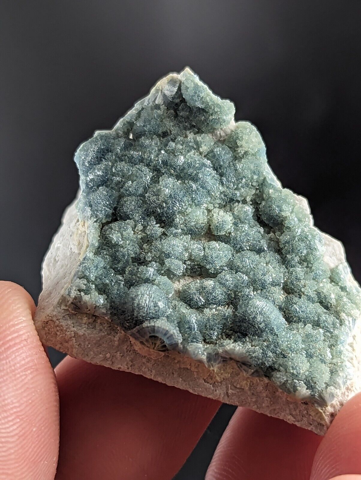 Blue Green Wavellite -Old Stock- Delinde/Schmitt mine - Garland County Arkansas - Collectibles:Rocks Fossils &