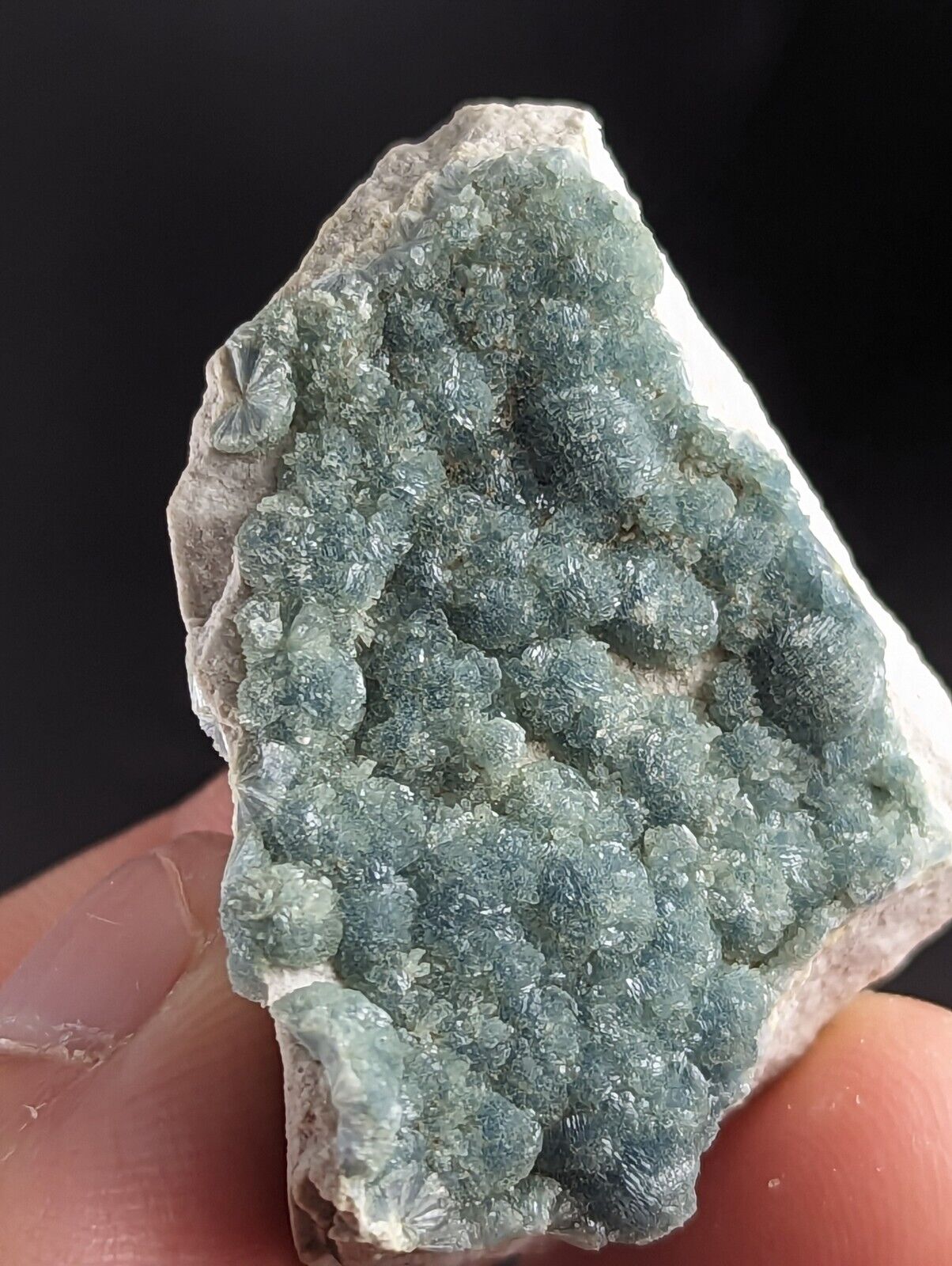 Blue Green Wavellite -Old Stock- Delinde/Schmitt mine - Garland County Arkansas - Collectibles:Rocks Fossils &