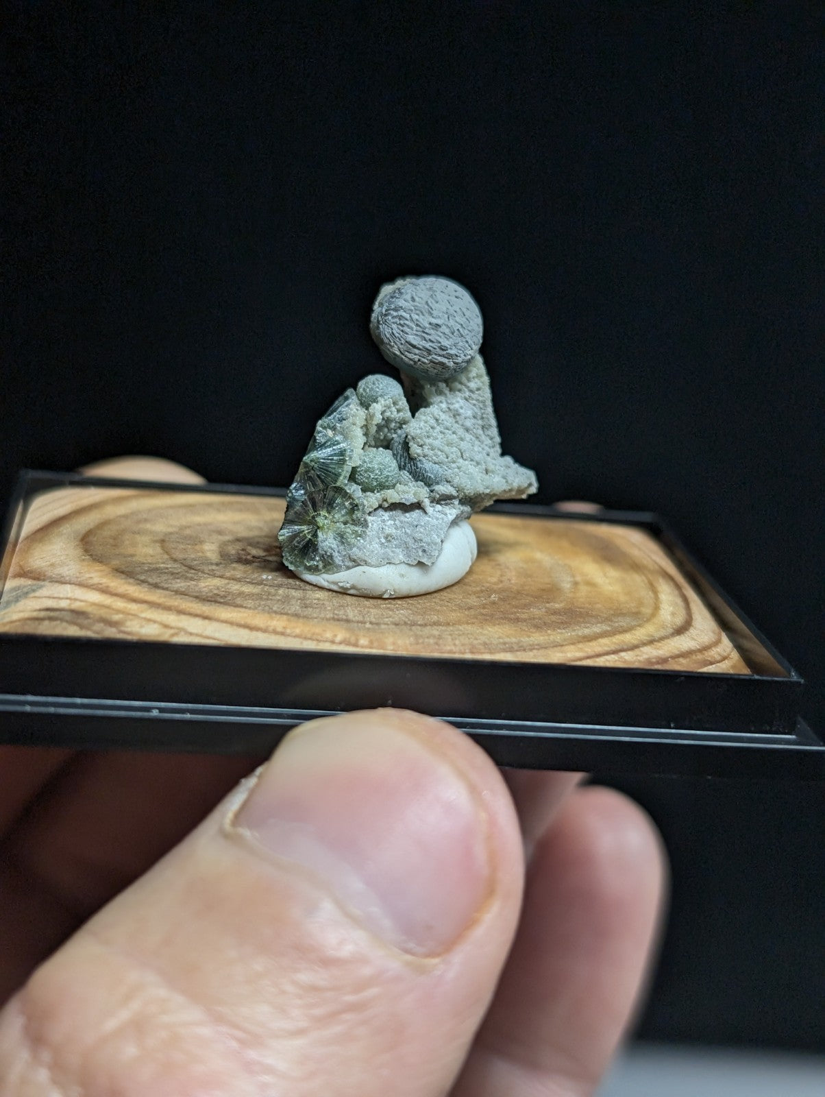 A textured gray mineral specimen, resembling a small figurine with rounded form and rough surface, displayed on a wooden base within a black-framed presentation case.