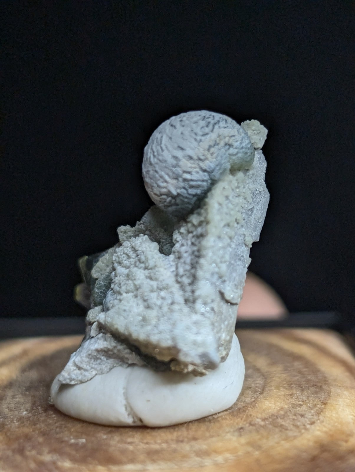 A gray, textured mineral specimen with a rounded, brain-like formation atop jagged crystalline structures.