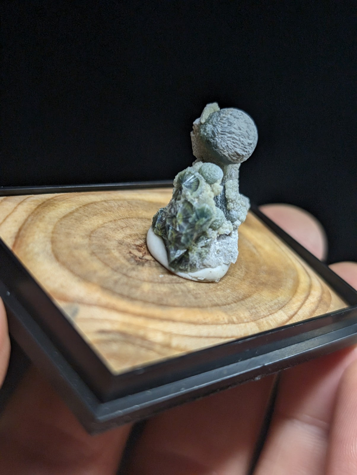 A miniature gray stone figurine with textured, mossy details sits atop a circular white base within a square wooden display tray.